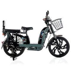 Электровелосипед двухместный 22" Kabshen Li-ion 450Вт 60В